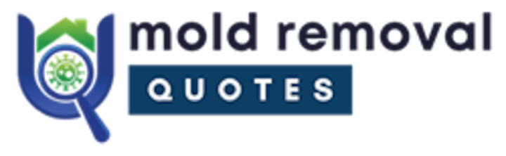 mold removal aiken
